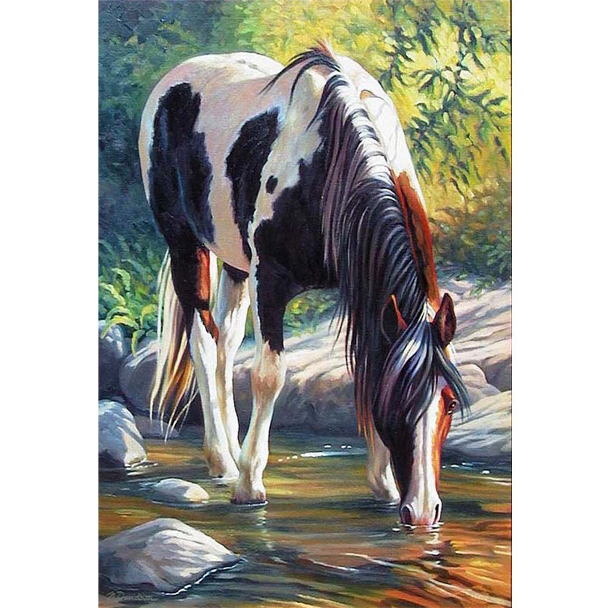 Black And White American Paint Horse - 5D Diamond Painting 