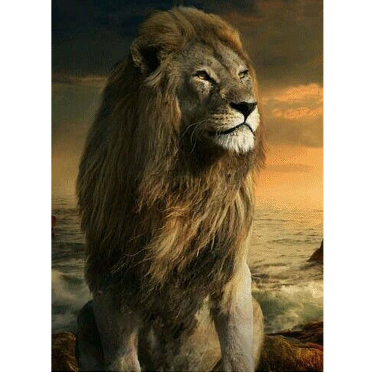 DIY Diamond Painting Kits for Adults, Handsome Lion cub Round Full Drill 5D  DIY Diamond Painting Art Kits for Home Decoration and Room Wall Decor