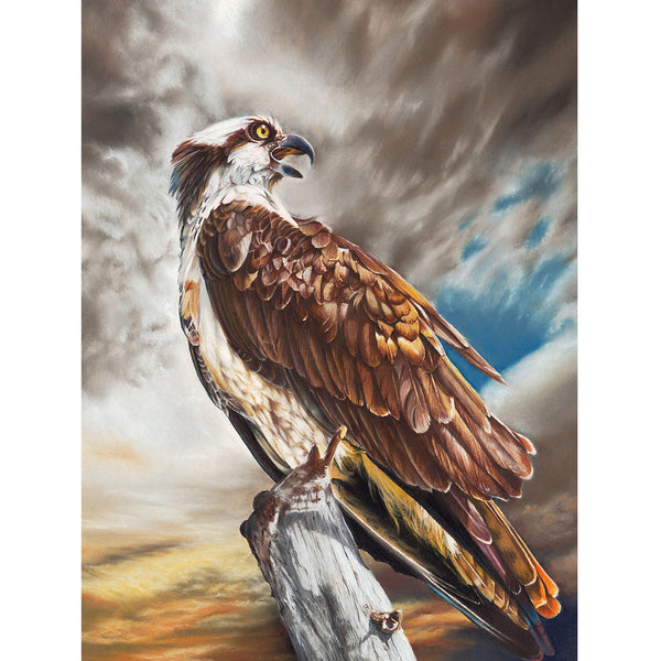 5D Diamond Painting eagle Paint with Diamonds Art Crystal Craft Decor AH2279