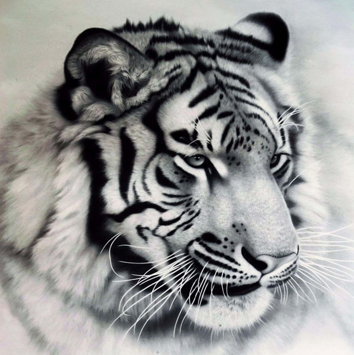 : Darmeng DIY 5D Diamond Painting White Tiger Beast