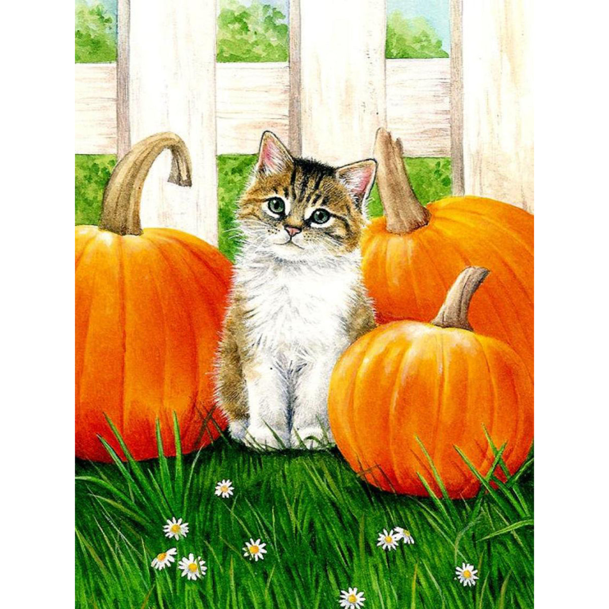 Lawn Pumpkin Cat 5D Diamond Painting -  – Five Diamond  Painting