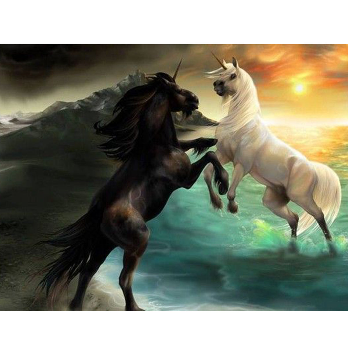 Black and White Horse by the Sea 5D Diamond Painting -   – Five Diamond Painting