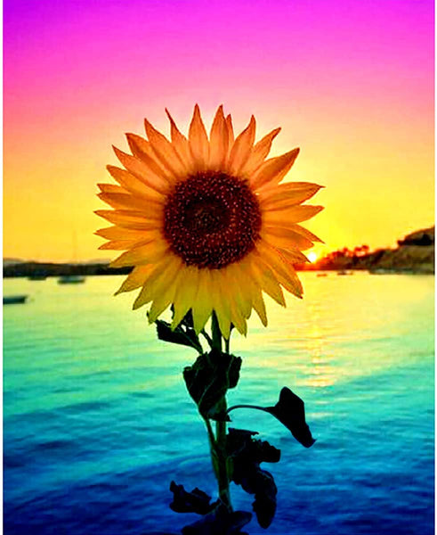5D Diamond Art Sun Flower Picture Frame – MoonBerry