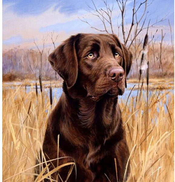 5D Diamond Painting Puppy In The Reeds Paint with Diamonds Art Crystal Craft Decor