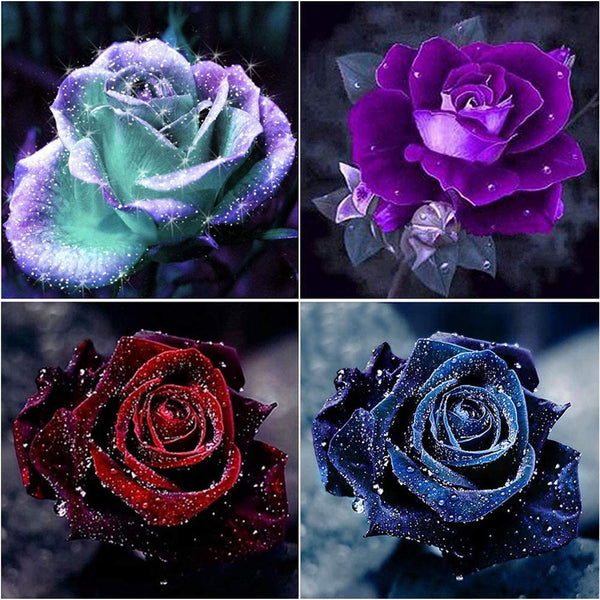 4 Pack 5D Diamond Painting Pink Rose Flower Pattern Paint with
