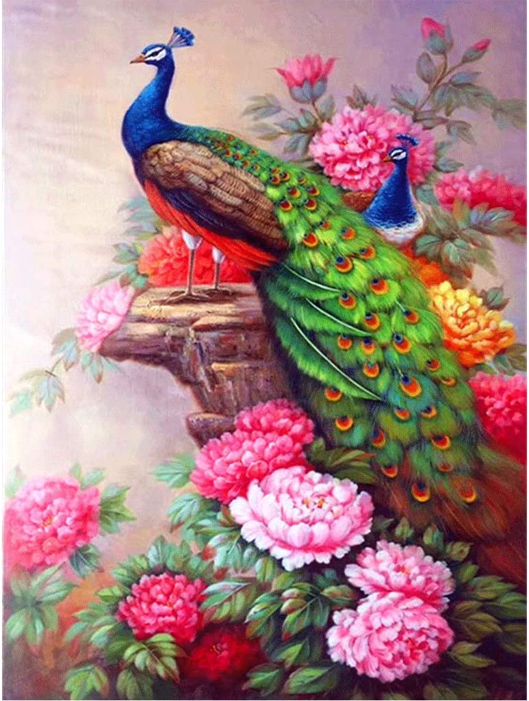 Peacock Diamond Painting - 5diamondpainting.com – Five Diamond
