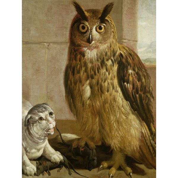 5D Diamond Painting owl Paint with Diamonds Art Crystal Craft Decor AH2089
