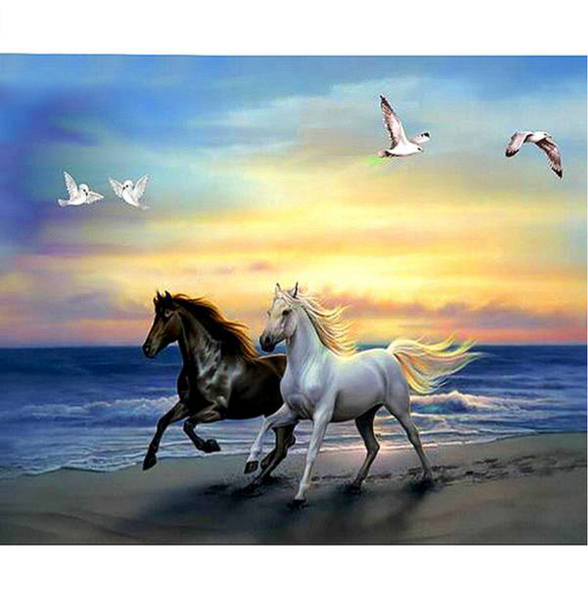Black and White Horse by the Sea 5D Diamond Painting -   – Five Diamond Painting