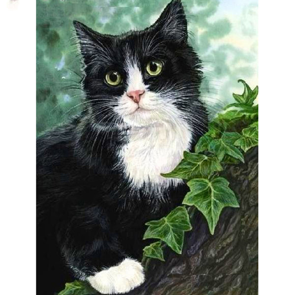 Color Smile Cat 5D Diamond Painting -  – Five Diamond  Painting