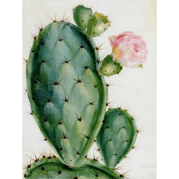 5D Diamond Painting cactus Paint with Diamonds Art Crystal Craft Decor AH2233