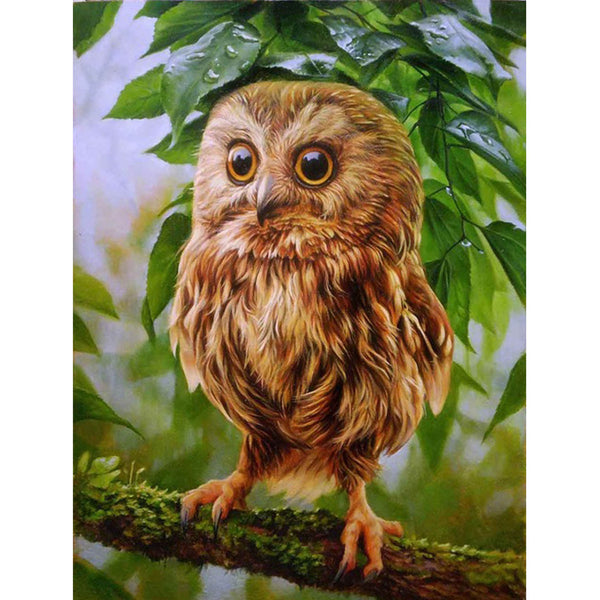 5D Diamond Painting owl Paint with Diamonds Art Crystal Craft Decor AH2085