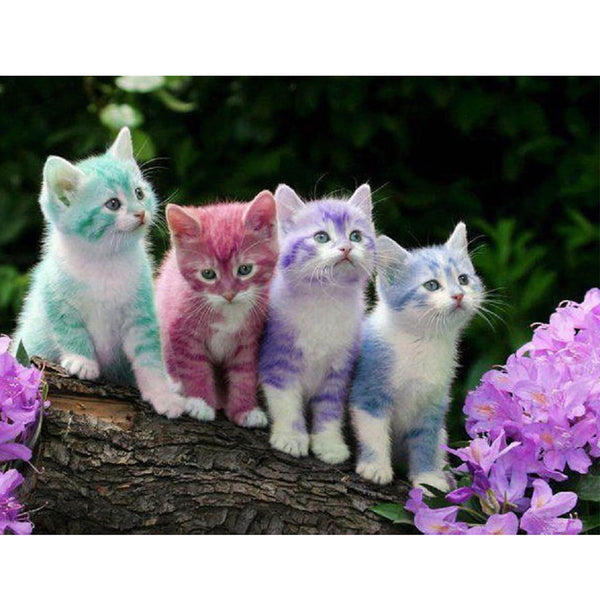 5D Diamond Painting cat Paint with Diamonds Art Crystal Craft Decor AH2056