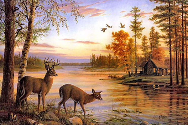 Fall Forest Deers Diamond Painting Kit with Free Shipping – 5D Diamond  Paintings