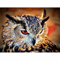5D Diamond Painting owl Paint with Diamonds Art Crystal Craft Decor AH2079