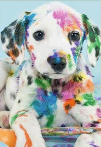 5D Diamond Painting Colour the Dog Paint with Diamonds Art Crystal Craft Decor