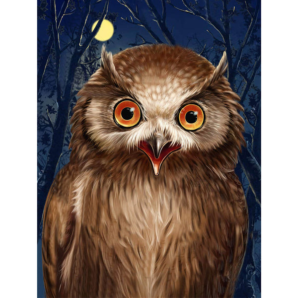 5D Diamond Painting owl Paint with Diamonds Art Crystal Craft Decor AH2075