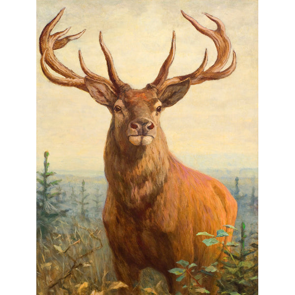 Diamond Painting - Deer Campaign – Figured'Art