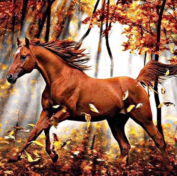 A Horse Running in Winter 5D Diamond Painting -  – Five Diamond  Painting