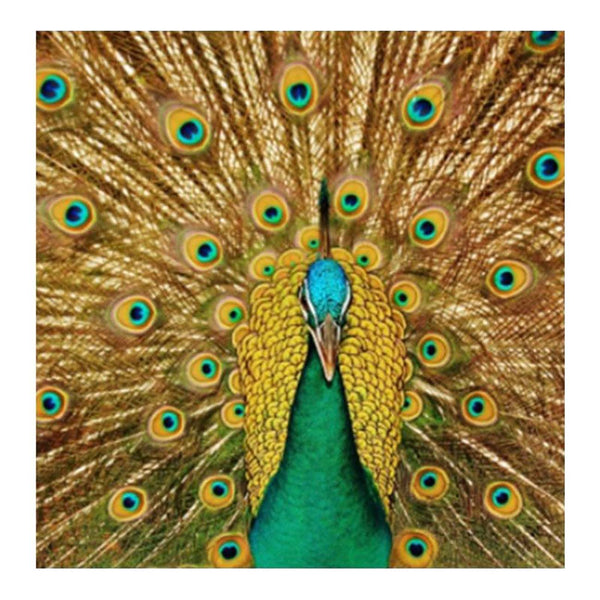 The Green Peacock 5D Diamond Painting 