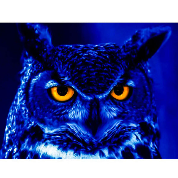 5D Diamond Painting owl Paint with Diamonds Art Crystal Craft Decor AH2088