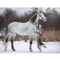 5D Diamond Painting horse Paint with Diamonds Art Crystal Craft Decor AH1905