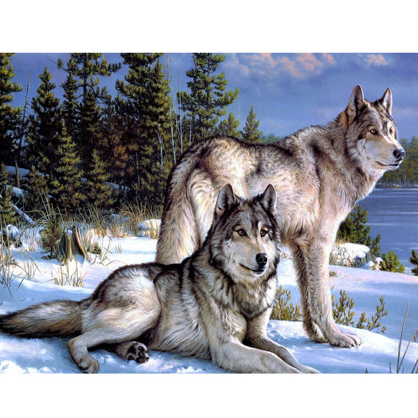 White Wolf of the Forest 5D Diamond Painting -  – Five  Diamond Painting
