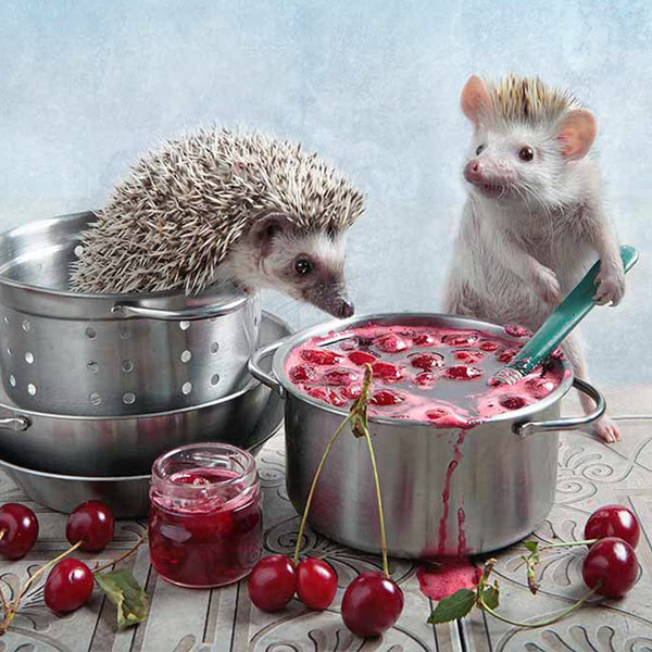 Painted Hedgehog 5D Diamond Painting -  – Five Diamond  Painting