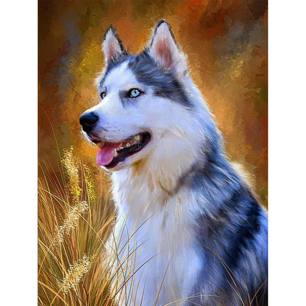 Dog Husky 5D Diamond Painting -  – Five Diamond Painting