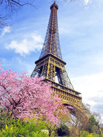 5D Diamond Painting Peach Blossom Eiffel Tower Paint with Diamonds Art Crystal Craft Decor UH2848