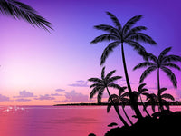5D Diamond Painting Sunset Beach Coconut Trees Paint with Diamonds Art Crystal Craft Decor UH2855