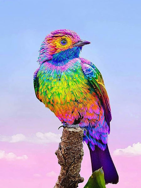 5D Diamond Painting Sky Colored Bird Paint with Diamonds Art Crystal Craft Decor UH2987