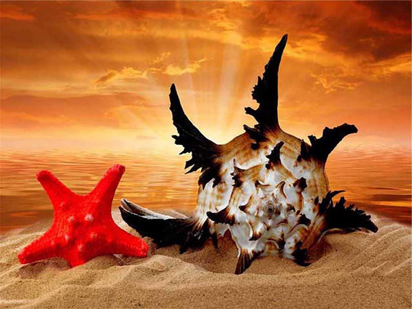 5D Diamond Painting Two starfish Paint with Diamonds Art Crystal Craft Decor UH2971